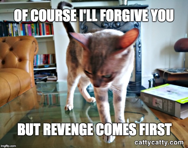 Forgiveness? Why of course... | OF COURSE I'LL FORGIVE YOU; BUT REVENGE COMES FIRST | image tagged in forgiveness meme,angry cat,angry cat meme | made w/ Imgflip meme maker