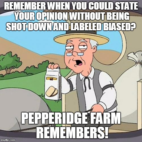 Pepperidge Farm Remembers Meme | REMEMBER WHEN YOU COULD STATE YOUR OPINION WITHOUT BEING SHOT DOWN AND LABELED BIASED? PEPPERIDGE FARM REMEMBERS! | image tagged in memes,pepperidge farm remembers | made w/ Imgflip meme maker