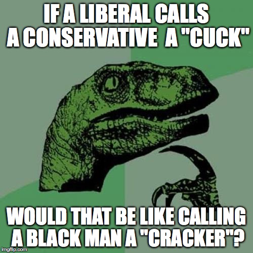 had an interesting conversation this morning | IF A LIBERAL CALLS A CONSERVATIVE  A "CUCK"; WOULD THAT BE LIKE CALLING A BLACK MAN A "CRACKER"? | image tagged in memes,philosoraptor,liberal vs conservative,cuck,college liberal,black girl wat | made w/ Imgflip meme maker