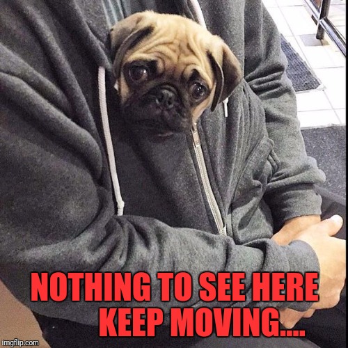 NOTHING TO SEE HERE        
KEEP MOVING.... | made w/ Imgflip meme maker