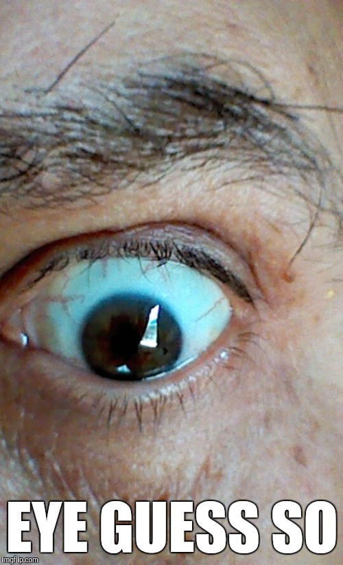 Memes, eyes | EYE GUESS SO | image tagged in memes eyes | made w/ Imgflip meme maker