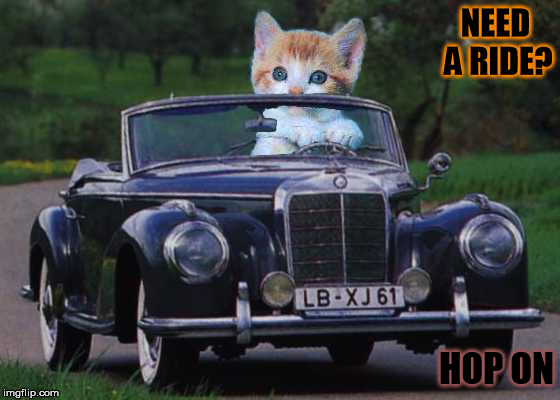 NEED A RIDE? HOP ON | made w/ Imgflip meme maker