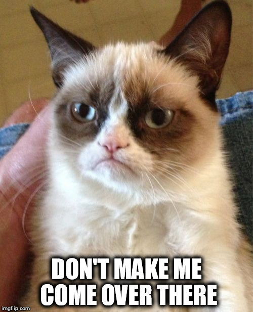 Grumpy Cat Meme | DON'T MAKE ME COME OVER THERE | image tagged in memes,grumpy cat | made w/ Imgflip meme maker