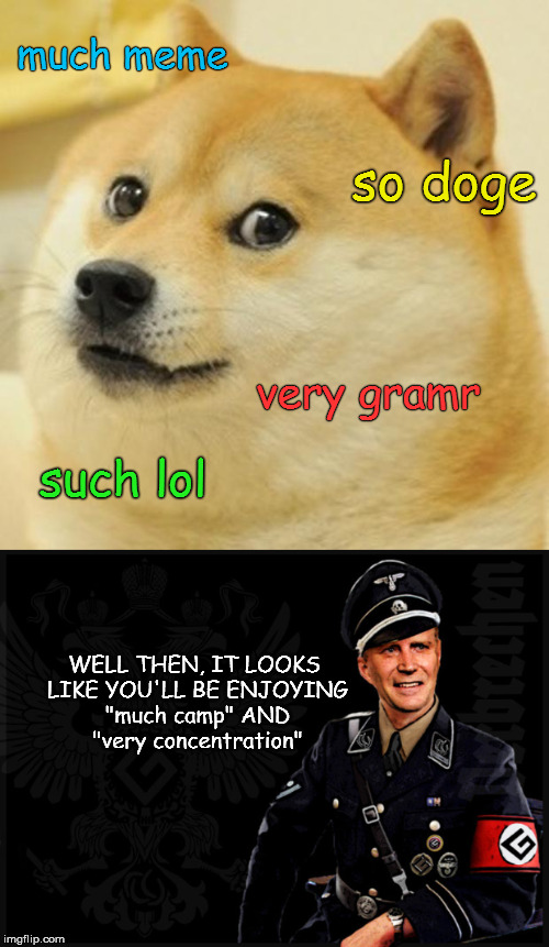 Hide your Lol-Cats, folks; you know they're next. | much meme; so doge; very gramr; such lol; WELL THEN, IT LOOKS LIKE YOU'LL BE ENJOYING "much camp" AND "very concentration" | image tagged in memes,doge,grammar nazi | made w/ Imgflip meme maker