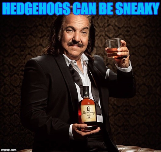 HEDGEHOGS CAN BE SNEAKY | made w/ Imgflip meme maker