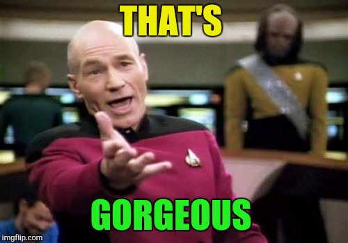 Picard Wtf Meme | THAT'S GORGEOUS | image tagged in memes,picard wtf | made w/ Imgflip meme maker