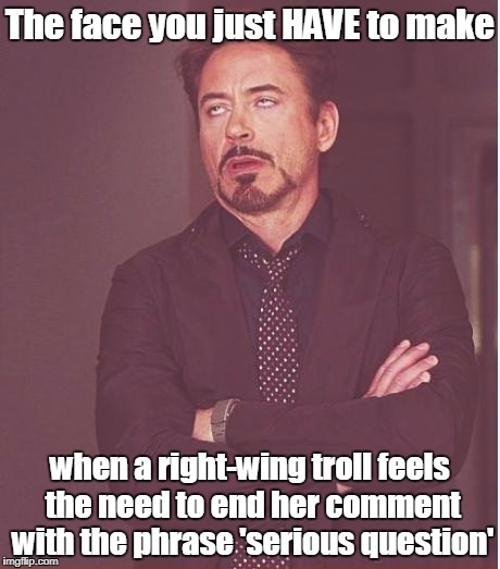 so you're serious only once-in-a-while? that explains a lot... | The face you just HAVE to make; when a right-wing troll feels the need to end her comment with the phrase 'serious question' | image tagged in memes,face you make robert downey jr,trolls,politics,conservative,liberal vs conservative | made w/ Imgflip meme maker