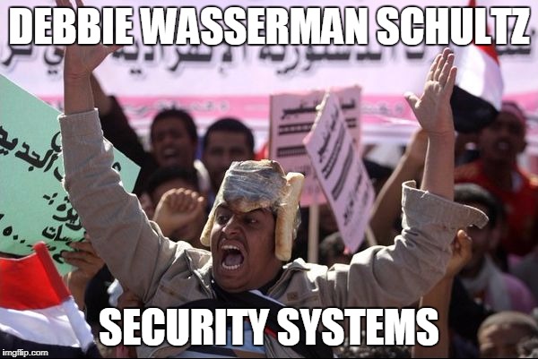 My Hat Is Bread | DEBBIE WASSERMAN SCHULTZ; SECURITY SYSTEMS | image tagged in my hat is bread | made w/ Imgflip meme maker