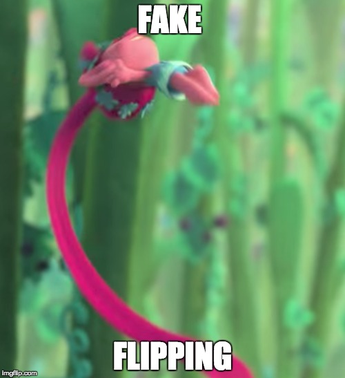 fake flipping | FAKE; FLIPPING | image tagged in funny meme,funny,meme | made w/ Imgflip meme maker