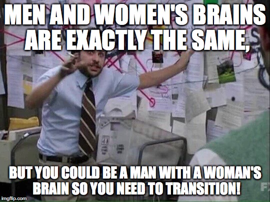 Pepe Silvia | MEN AND WOMEN'S BRAINS ARE EXACTLY THE SAME, BUT YOU COULD BE A MAN WITH A WOMAN'S BRAIN SO YOU NEED TO TRANSITION! | image tagged in pepe silvia | made w/ Imgflip meme maker