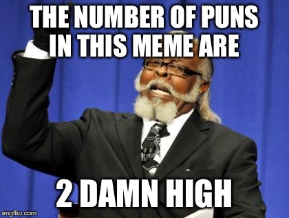 Too Damn High Meme | THE NUMBER OF PUNS IN THIS MEME ARE 2 DAMN HIGH | image tagged in memes,too damn high | made w/ Imgflip meme maker