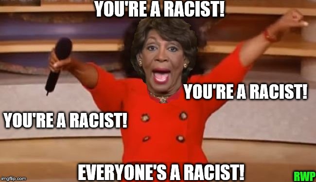 Maxine Waters Is Insane | YOU'RE A RACIST! YOU'RE A RACIST! YOU'RE A RACIST! EVERYONE'S A RACIST! RWP | image tagged in politics,conservatives,maxine waters,oprah you get a,oprah | made w/ Imgflip meme maker