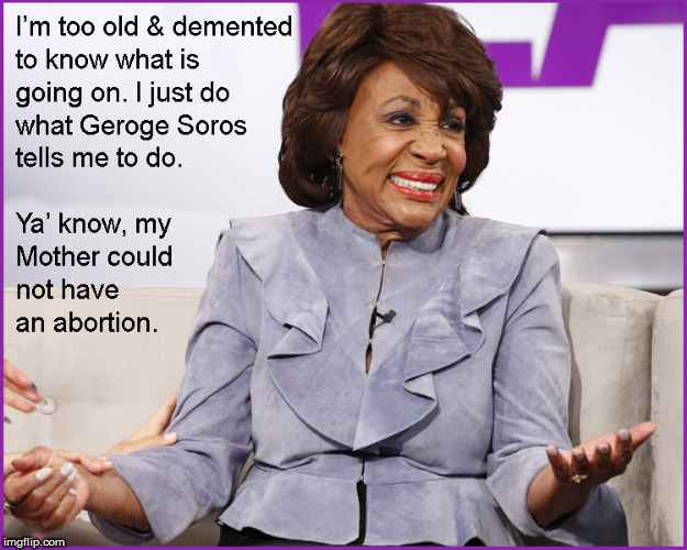 Maxine's mother should've aborted | image tagged in maxine waters,abortion,funny,funny memes,politics lol,front page | made w/ Imgflip meme maker