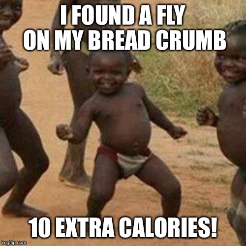 Woo, There's a Fly on my Bread Crumb | I FOUND A FLY ON MY BREAD CRUMB; 10 EXTRA CALORIES! | image tagged in memes,third world success kid | made w/ Imgflip meme maker