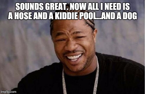 Yo Dawg Heard You Meme | SOUNDS GREAT. NOW ALL I NEED IS A HOSE AND A KIDDIE POOL...AND A DOG | image tagged in memes,yo dawg heard you | made w/ Imgflip meme maker