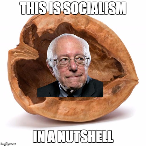 Nutshell | THIS IS SOCIALISM; IN A NUTSHELL | image tagged in nutshell | made w/ Imgflip meme maker