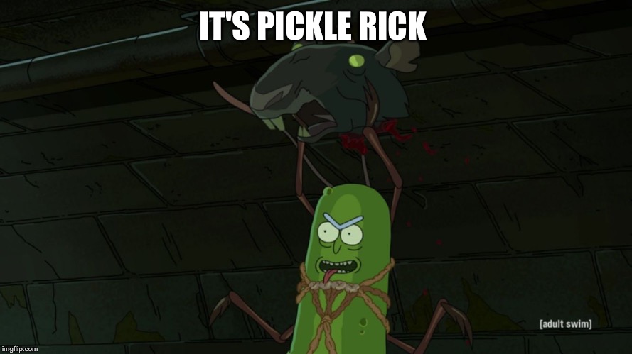 Rick pickle | IT'S PICKLE RICK | image tagged in rick pickle | made w/ Imgflip meme maker