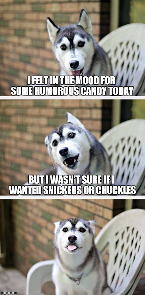 The Worst Meme In The Entire World Ever | I FELT IN THE MOOD FOR SOME HUMOROUS CANDY TODAY; BUT I WASN'T SURE IF I WANTED SNICKERS OR CHUCKLES | image tagged in bad pun dog 2,memes | made w/ Imgflip meme maker
