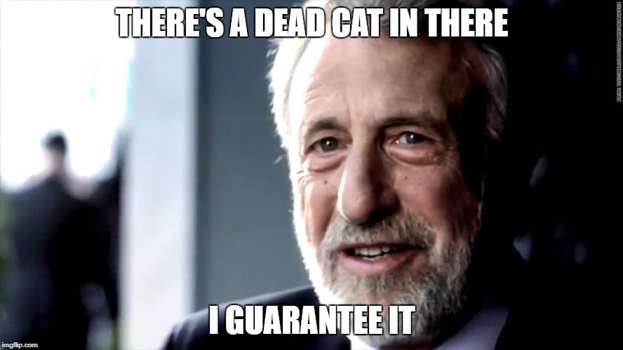 mens warehouse | THERE'S A DEAD CAT IN THERE; I GUARANTEE IT | image tagged in mens warehouse | made w/ Imgflip meme maker
