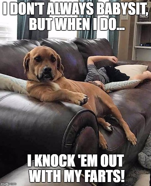 I DON'T ALWAYS BABYSIT, BUT WHEN I DO... I KNOCK 'EM OUT WITH MY FARTS! | image tagged in most interesting dog | made w/ Imgflip meme maker