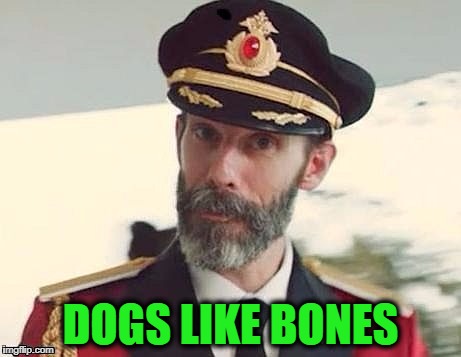 Captain Obvious | DOGS LIKE BONES | image tagged in captain obvious | made w/ Imgflip meme maker