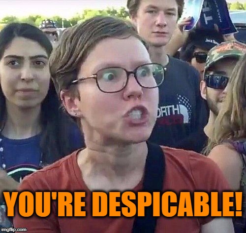 foggy | YOU'RE DESPICABLE! | image tagged in triggered feminist | made w/ Imgflip meme maker