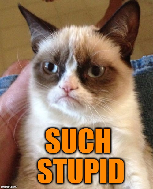 Grumpy Cat Meme | SUCH STUPID | image tagged in memes,grumpy cat | made w/ Imgflip meme maker