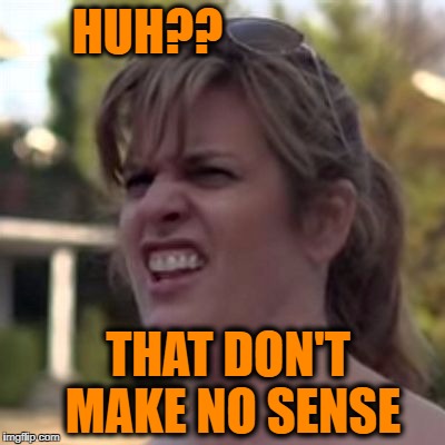 seriously? | HUH?? THAT DON'T MAKE NO SENSE | image tagged in seriously | made w/ Imgflip meme maker