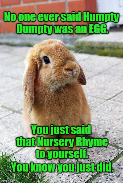 No one ever said Humpty Dumpty was an EGG. You just said that Nursery Rhyme to yourself. You know you just did. | made w/ Imgflip meme maker