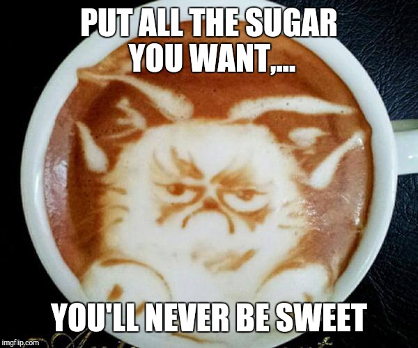 PUT ALL THE SUGAR YOU WANT,... YOU'LL NEVER BE SWEET | made w/ Imgflip meme maker