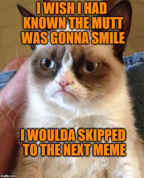 Grumpy Cat Meme | I WISH I HAD KNOWN THE MUTT WAS GONNA SMILE I WOULDA SKIPPED TO THE NEXT MEME | image tagged in memes,grumpy cat | made w/ Imgflip meme maker