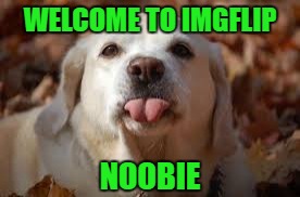 WELCOME TO IMGFLIP NOOBIE | made w/ Imgflip meme maker