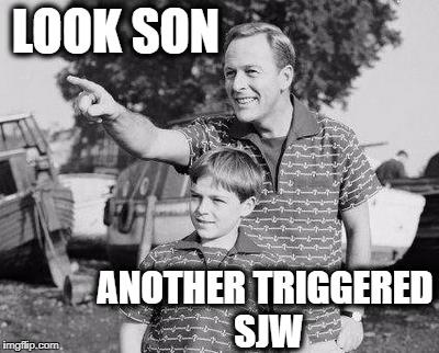 Doesn't take much,  does it? | LOOK SON; ANOTHER TRIGGERED SJW | image tagged in look son,sjw | made w/ Imgflip meme maker