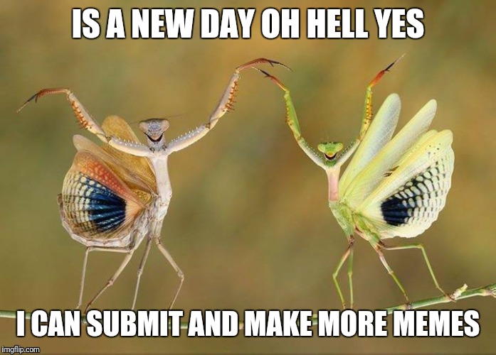 dance dance dance | IS A NEW DAY OH HELL YES; I CAN SUBMIT AND MAKE MORE MEMES | image tagged in dance dance dance | made w/ Imgflip meme maker