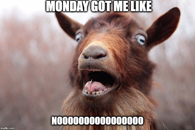 Mondays are stupid | MONDAY GOT ME LIKE; NOOOOOOOOOOOOOOOO | image tagged in no mondays,i hate mondays | made w/ Imgflip meme maker