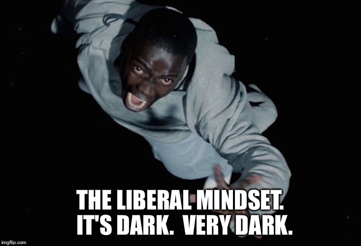 THE LIBERAL MINDSET.  IT'S DARK.  VERY DARK. | image tagged in sunken place | made w/ Imgflip meme maker