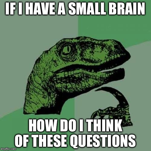 Philosoraptor Meme | IF I HAVE A SMALL BRAIN; HOW DO I THINK OF THESE QUESTIONS | image tagged in memes,philosoraptor | made w/ Imgflip meme maker