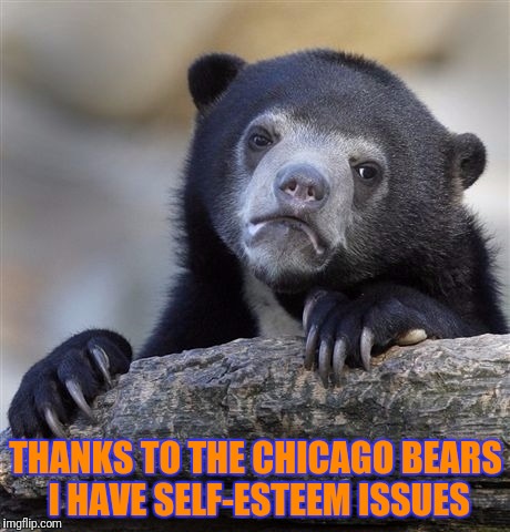 Derp Bears! | THANKS TO THE CHICAGO BEARS I HAVE SELF-ESTEEM ISSUES | image tagged in memes,confession bear | made w/ Imgflip meme maker