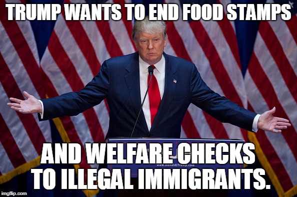 Donald Trump | TRUMP WANTS TO END FOOD STAMPS; AND WELFARE CHECKS TO ILLEGAL IMMIGRANTS. | image tagged in donald trump | made w/ Imgflip meme maker