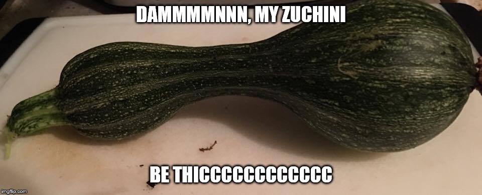 Thicc Zuchini | DAMMMMNNN, MY ZUCHINI; BE THICCCCCCCCCCCC | image tagged in thicc zuchini | made w/ Imgflip meme maker
