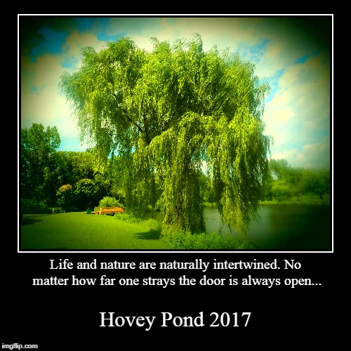 Hovey Pond 2017 | Life and nature are naturally intertwined. No matter how far one strays the door is always open... | Hovey Pond 2017 | image tagged in funny,demotivationals,nature,glens falls,queensbury | made w/ Imgflip demotivational maker