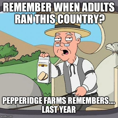 Pepperidge Farm Remembers Meme | REMEMBER WHEN ADULTS RAN THIS COUNTRY? PEPPERIDGE FARMS REMEMBERS.... LAST YEAR | image tagged in memes,pepperidge farm remembers | made w/ Imgflip meme maker