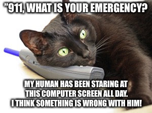 It's a disease! | ”911, WHAT IS YOUR EMERGENCY? MY HUMAN HAS BEEN STARING AT THIS COMPUTER SCREEN ALL DAY. I THINK SOMETHING IS WRONG WITH HIM! | image tagged in cat | made w/ Imgflip meme maker