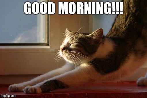 GOOD MORNING!!! | image tagged in kitty4 | made w/ Imgflip meme maker