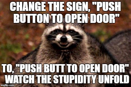 Evil Plotting Raccoon Meme | CHANGE THE SIGN, "PUSH BUTTON TO OPEN DOOR"; TO, "PUSH BUTT TO OPEN DOOR"
 WATCH THE STUPIDITY UNFOLD | image tagged in memes,evil plotting raccoon | made w/ Imgflip meme maker