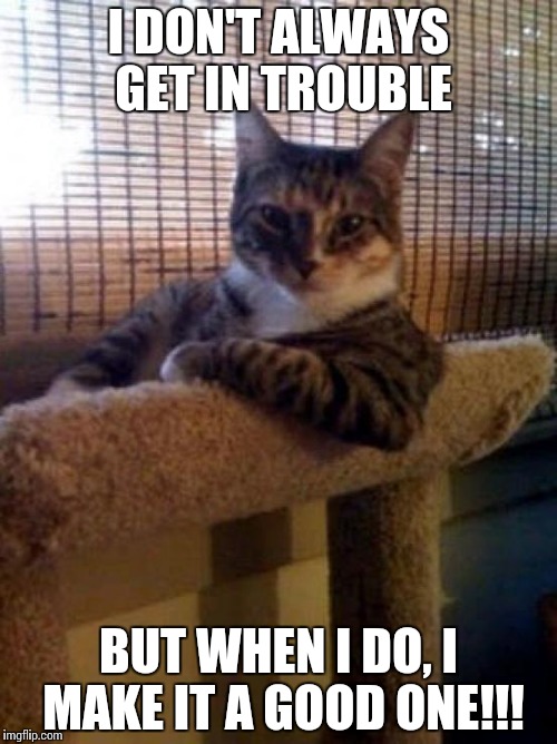 cats | I DON'T ALWAYS GET IN TROUBLE; BUT WHEN I DO, I MAKE IT A GOOD ONE!!! | image tagged in cats | made w/ Imgflip meme maker