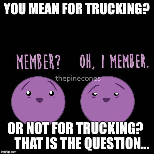 Member berries | YOU MEAN FOR TRUCKING? OR NOT FOR TRUCKING?    
THAT IS THE QUESTION... | image tagged in member berries | made w/ Imgflip meme maker