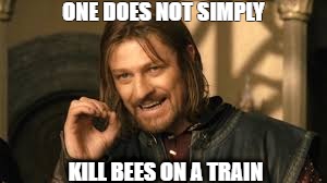 ONE DOES NOT SIMPLY; KILL BEES ON A TRAIN | image tagged in one does not simply | made w/ Imgflip meme maker