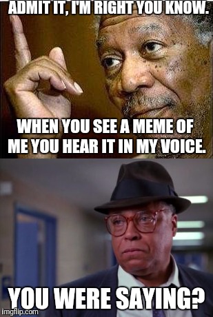 Meme Voices | ADMIT IT, I'M RIGHT YOU KNOW. WHEN YOU SEE A MEME OF ME YOU HEAR IT IN MY VOICE. YOU WERE SAYING? | image tagged in so true memes | made w/ Imgflip meme maker