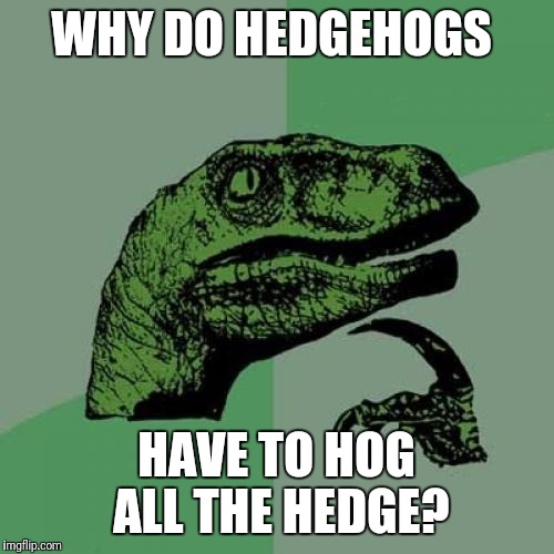 Sharing Is Caring | WHY DO HEDGEHOGS; HAVE TO HOG ALL THE HEDGE? | image tagged in memes,philosoraptor,funny | made w/ Imgflip meme maker